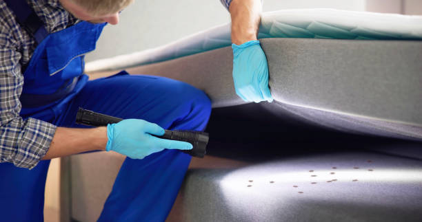 Best Pest Prevention Services  in Silver Lake, NC
