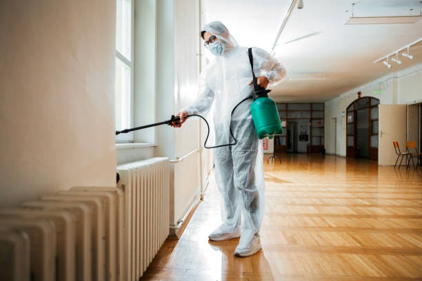 Best Affordable Pest Control Services  in Silver Lake, NC