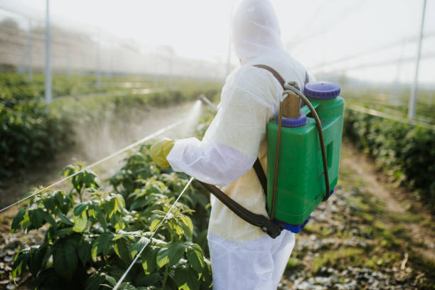 Best Bed Bug Extermination  in Silver Lake, NC